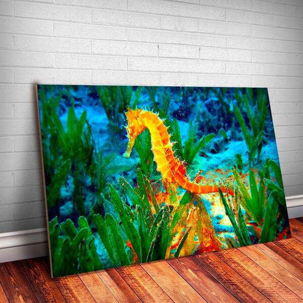 Placa Decorativa Animais 28 Cavalo Marinho Mdf 20x30cm
