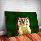 Placa Decorativa Animais 32 Águia Dourada Mdf 30x45cm