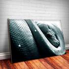 Placa Decorativa Animais 37 Cobra Mdf 20x30cm