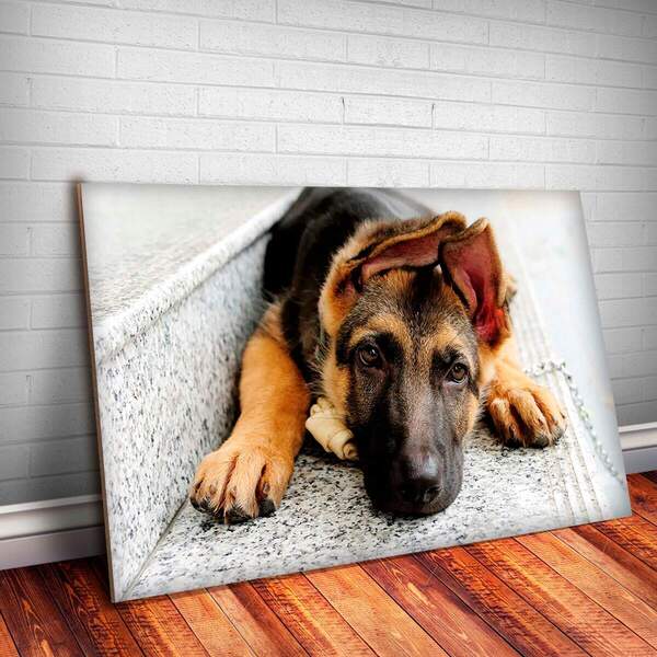 Placa Decorativa Animais 43 Cachorro Mdf 30x45cm