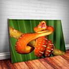 Placa Decorativa Animais 61 Cobra Mdf 20x30cm