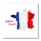 Placa Decorativa - Bandeira França - 1624plmk