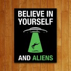 Placa Decorativa Believe In Aliens