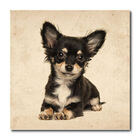 Placa Decorativa - Cachorro - 1271plmk