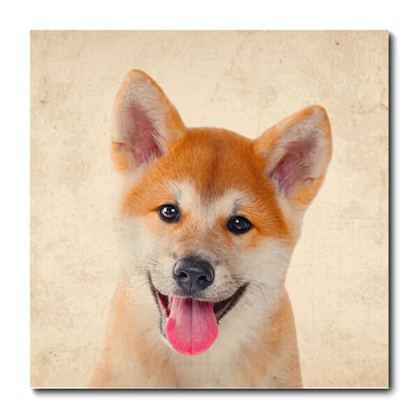 Placa Decorativa - Cachorro - 1272plmk