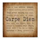 Placa Decorativa Carpe Diem 25x25 Cm Preto