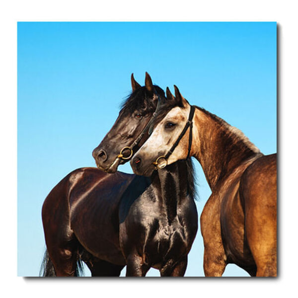 Placa Decorativa - Cavalos - 2194plmk