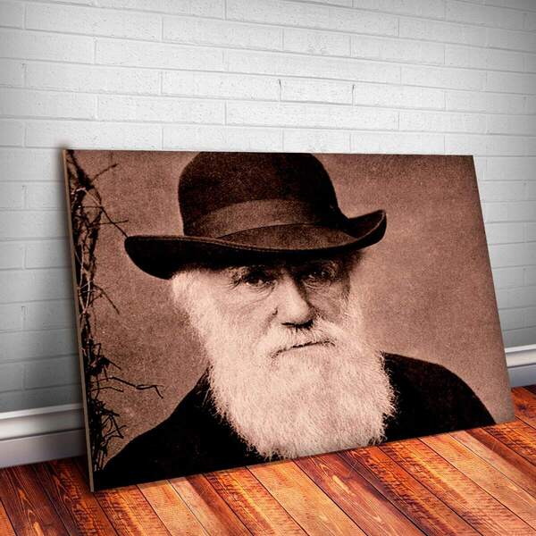 Placa Decorativa Charles Darwin 4 Mdf 30x45cm