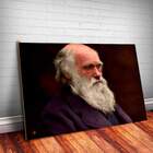 Placa Decorativa Charles Darwin 5 Mdf 20x30cm