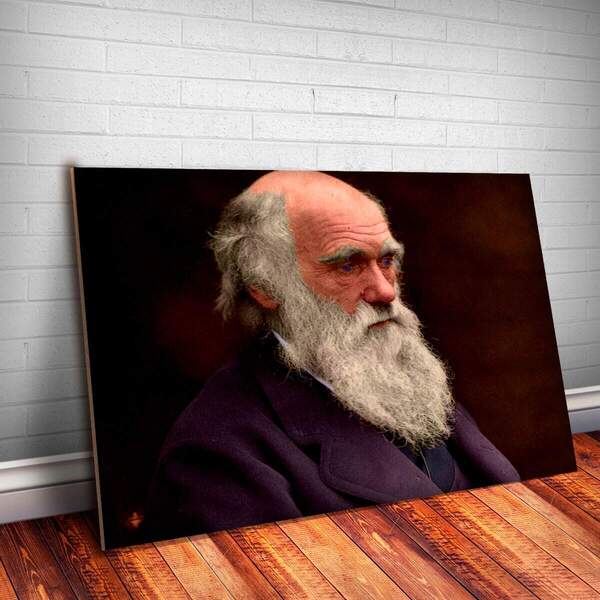 Placa Decorativa Charles Darwin 5 Mdf 20x30cm