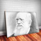 Placa Decorativa Charles Darwin 6 Mdf 20x30cm