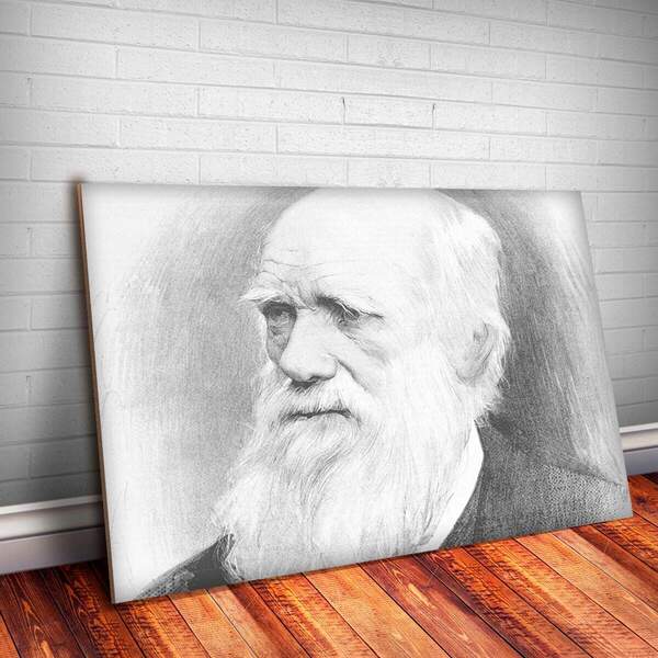 Placa Decorativa Charles Darwin 6 Mdf 20x30cm