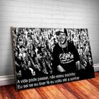 Placa Decorativa Charlie Brown Jr 5 Mdf 30x45cm