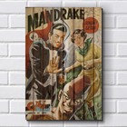 Placa Decorativa em MDF com 20x30cm - Modelo P383 - Gibi