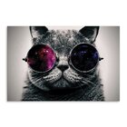 Placa Decorativa Em Mdf Gato De Óculos 20x30