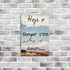 Placa Decorativa Em Mdf Hoje O Tempo Voa 20x30