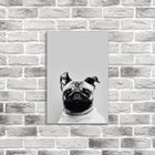 Placa Decorativa Em Mdf Pug Preto E Branco 20x30