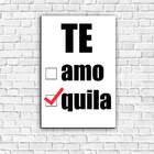 Placa Decorativa Engraçada Tequila Mdf 20x30cm