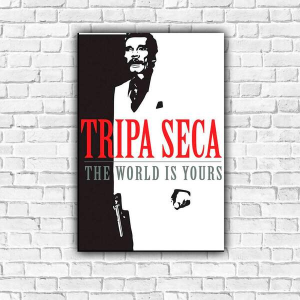 Placa Decorativa Engraçada Tripa Seca Mdf 30x45cm