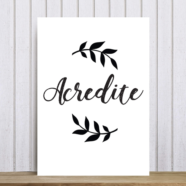Placa Decorativa Frases De Motivacao Acredite 30x40cm Leroy Merlin