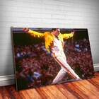 Placa Decorativa Freddie Mercury 1 Mdf 30x45cm