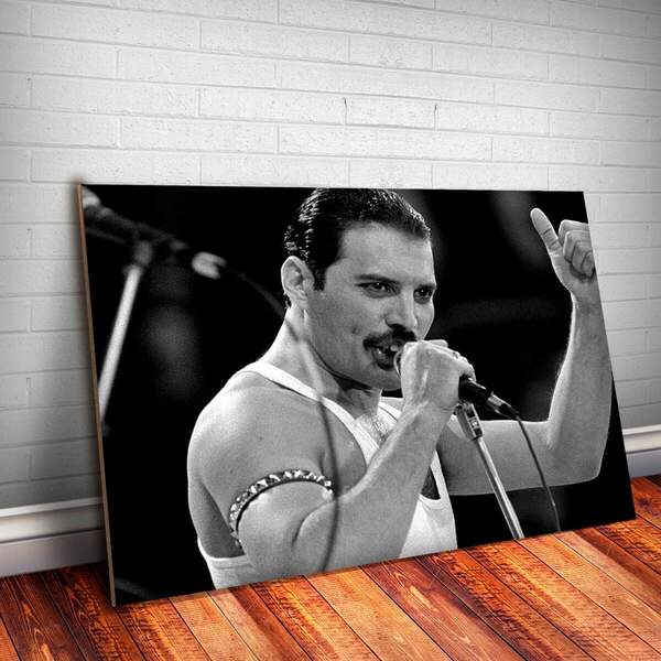 Placa Decorativa Freddie Mercury 3 Mdf 20x30cm