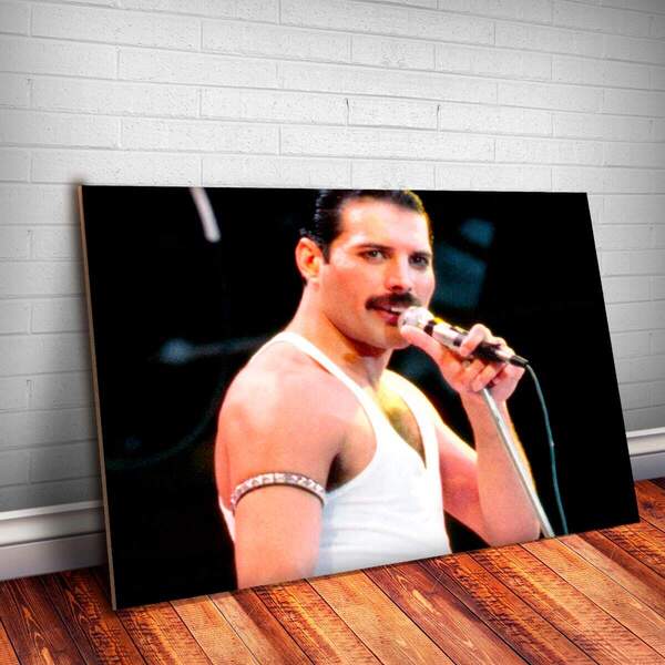 Placa Decorativa Freddie Mercury 6 Mdf 20x30cm