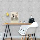 Placa Decorativa Gato Com Bicicleta 18x27cm