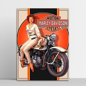 placa_decorativa_harley_davids
