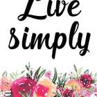 Placa Decorativa Havaí Iii Colorida