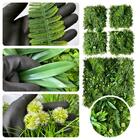 Placa Decorativa Jardim Vertical Painel De 3m² Realista Linha