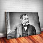 Placa Decorativa Louis Pasteur 1 Mdf 30x45cm