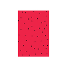 Placa Decorativa MDF Sementes Melancia 20x30cm