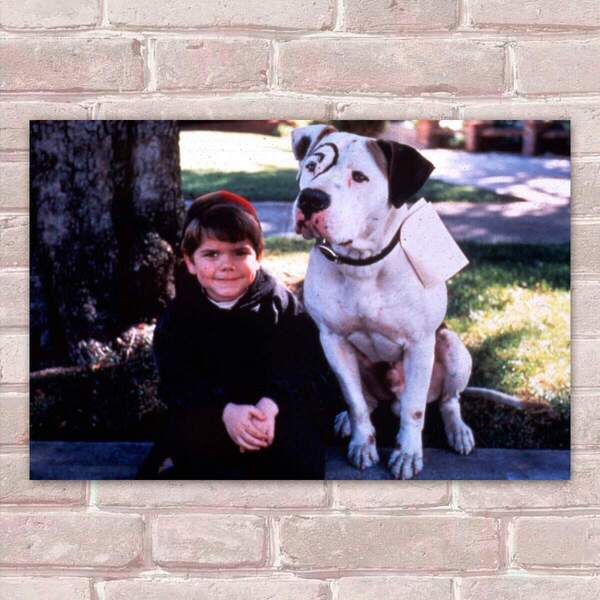 Placa Decorativa Os Batutinhas 03 Mdf 30x45cm