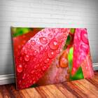 Placa Decorativa Paisagem 03 Mdf 30x45cm