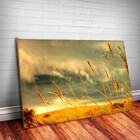 Placa Decorativa Paisagem 21 Mdf 30x45cm