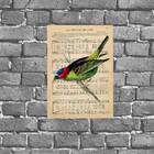 Placa Decorativa Pássaro Com Partitura 18x27cm