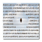 Placa Decorativa - Pássaros - 1291plmk