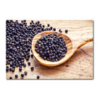 Placa Decorativa - Pimentas - 1110plmk