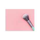 Placa Decorativa Pincel de Maquiagem Fundo Rosa 20x30cm