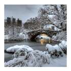 Placa Decorativa Ponte Central Park 25x25 Cm Preto