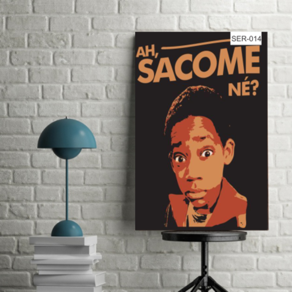 Placa Decorativa Poster Seriado Todo Mundo Odeia O Chris - Ah