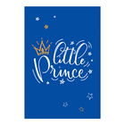 Placa Decorativa Quarto de Bebê Pequeno Principe 30x40cm