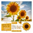 Placa Decorativa Temática Amarela Seja Um Girassol Em Mdf 27x