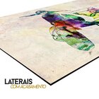 Placa Decorativa Tripa Seca 20x30cm