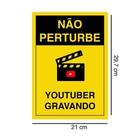 Placa Decorativa Youtuber Gravando *atenção As Medidas*