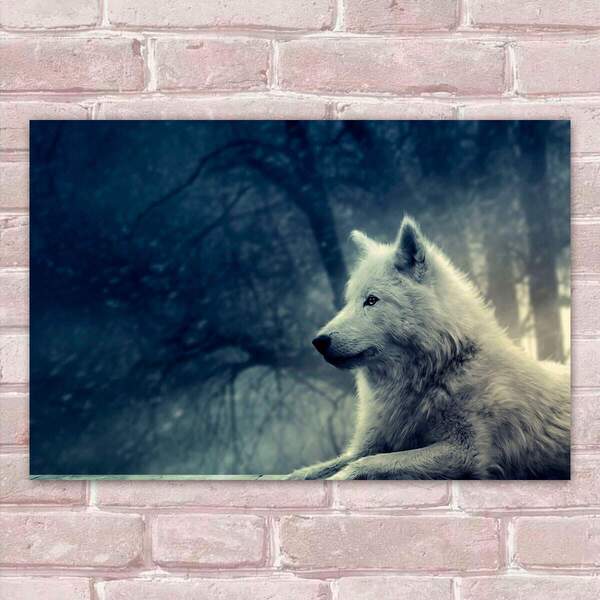 Placa Decorativas Animais 80 Lobo Mdf 20x30cm