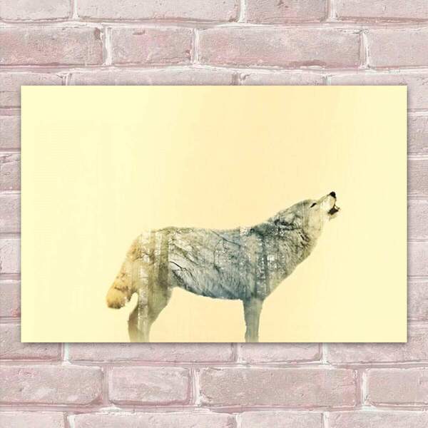 Placa Decorativas Animais 85 Lobo Uivando Mdf 30x45cm