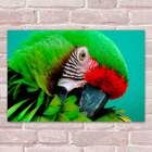 Placa Decorativas Animais 86 Pássaro Mdf 20x30cm