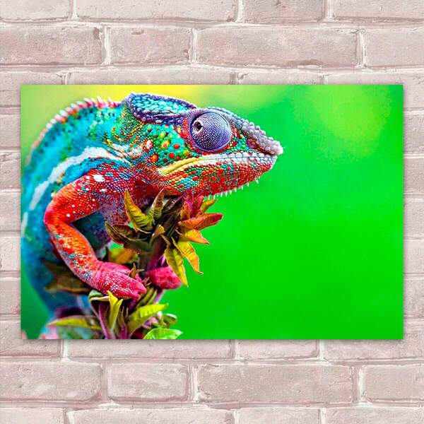 Placa Decorativas Animais 94 Camaleão Mdf 20x30cm